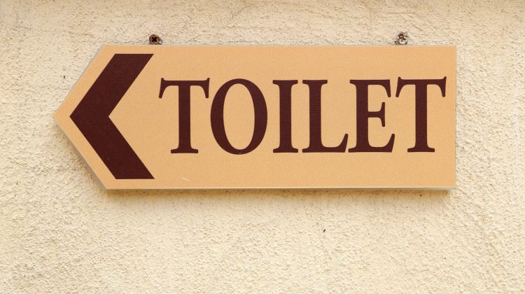 Toilet inspiratie